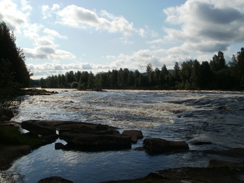 Naturbild